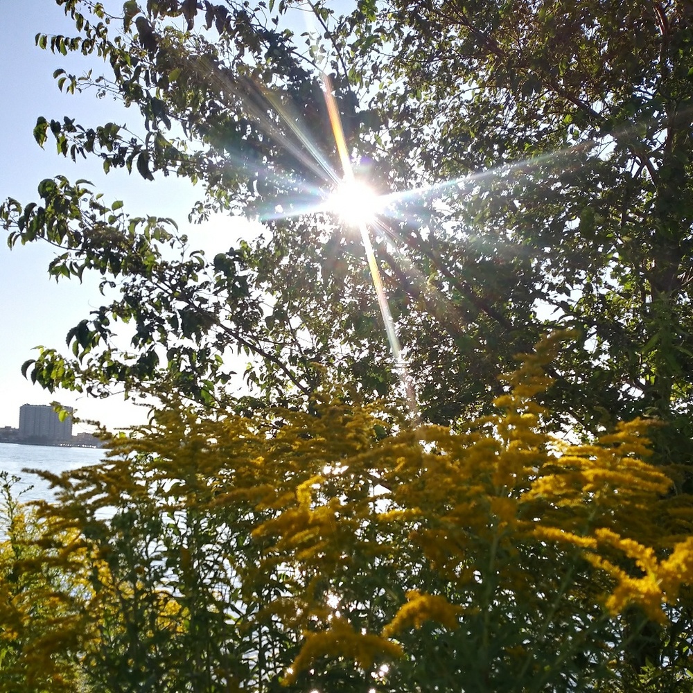 Meet your Posher, Annie